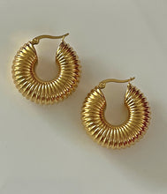 Load image into Gallery viewer, Danielle Large Hoops Earrings