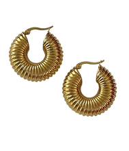 Load image into Gallery viewer, Danielle Large Hoops Earrings