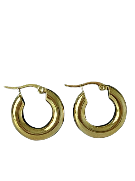 Be Bold Every Day Earrings - Gold plated small hoops earrings
