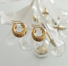 Load image into Gallery viewer, Be Bold Every Day Earrings - Gold plated small hoops earrings
